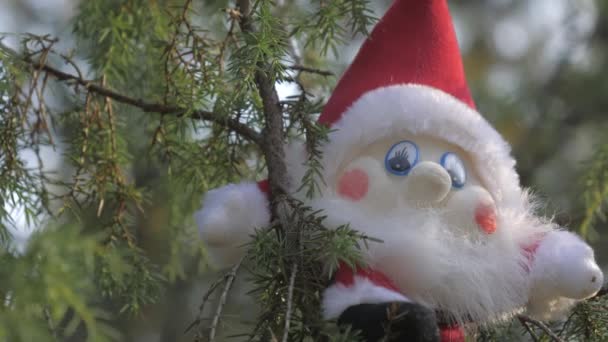 Το ξωτικό παιχνίδι gnome στην κορυφή του κλαδιού του δέντρου στο Rovaniemi Finland.4k - Πλάνα, βίντεο