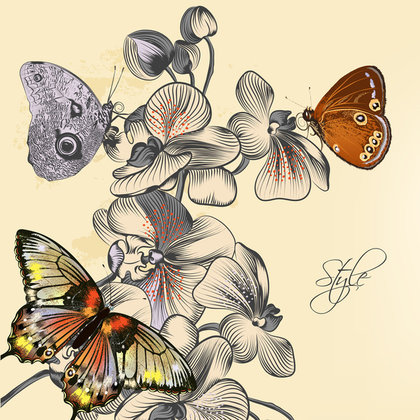 Fashion pattern with butterflies and orchids - Vector, Image