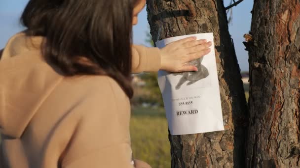 Pani wisi plakat zaginionego kota i pociąga fotkę na drzewie - Materiał filmowy, wideo
