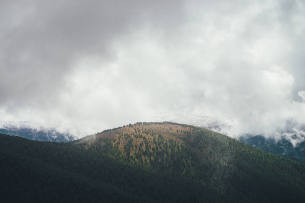 Vista colorida para grande colina da floresta em cores de outono no fundo de altas montanhas nevadas em nuvens baixas cinza. Paisagem de outono cênica com bela colina e grande parede de montanha de neve em nuvens de chuva. - Foto, Imagem