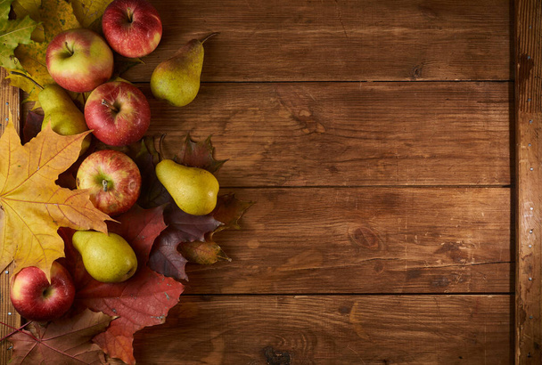 秋はまだ果物や野菜と生活:落ちた葉の上にリンゴ、梨、カボチャ - 写真・画像