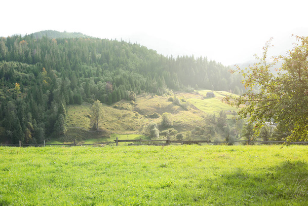 Прекрасний вид з дерев'яним парканом і хвойним гірським лісом
 - Фото, зображення