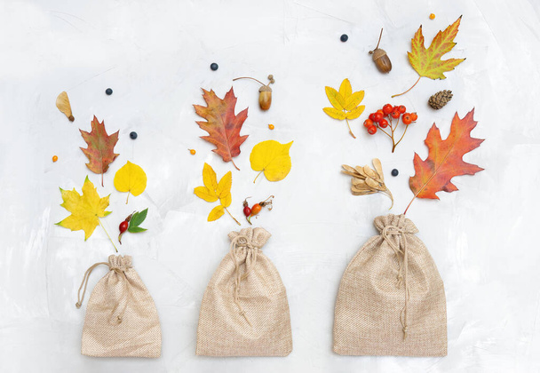 Three burlap pouches of different sizes with autumn leaves and berries on a neutral background. Traditional herbal medicinal products. - 写真・画像
