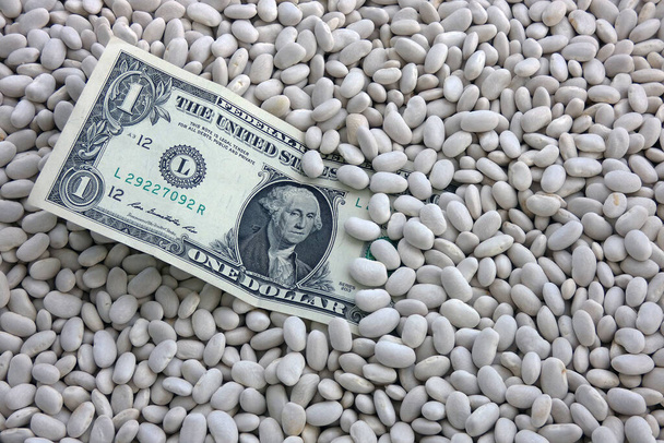 bílé fazole v misce a 1USD bankovky na to, ceny bílých fazolí vzrostly. - Fotografie, Obrázek