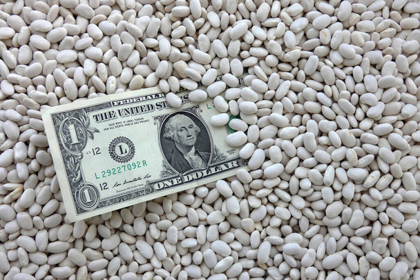 bílé fazole v misce a 1USD bankovky na to, ceny bílých fazolí vzrostly. - Fotografie, Obrázek