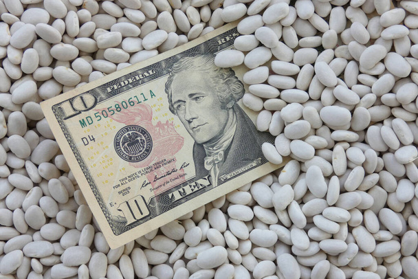witte bonen in een kom en 10 USD biljetten erop, witte bonen prijzen verhoogd. - Foto, afbeelding