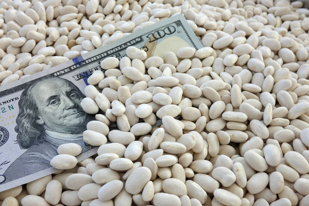 bílé fazole v misce a 100 USD bankovky na to, ceny bílých fazolí vzrostly. - Fotografie, Obrázek