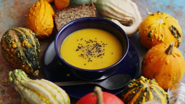 秋の定番料理との組み合わせ。黒種子で飾られたおいしい自家製カボチャのスープ - 映像、動画