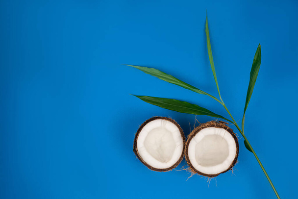 halves of fresh coconut on a blue background - Фото, зображення