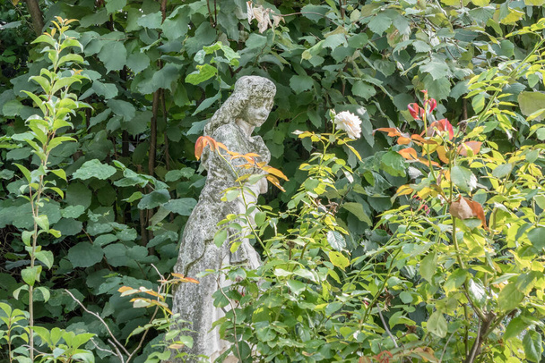 Estatua de una mujer rodeada de flores en jardín botánico. Con el tiempo, musgo verde se ha formado en la estatua. - Foto, Imagen