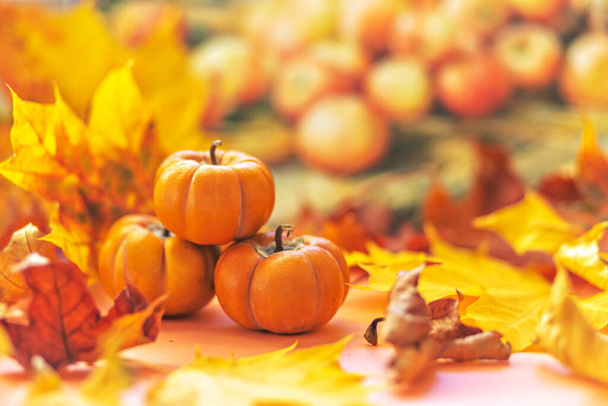 Autumn still life . Fallen maple leaves and orange pumpkins. Autumn harvest - Valokuva, kuva