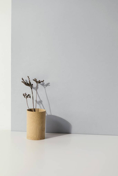 абстрактное минимальное пространство для копирования растительной вазы. Концепция красивой фотографии высокого качества - Фото, изображение