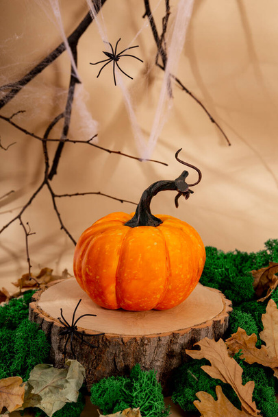 Autumn pumpkin on a wooden podium, cobwebs, branches and spiders. Autumn Halloween concept, vertical photo. High quality photo - Zdjęcie, obraz