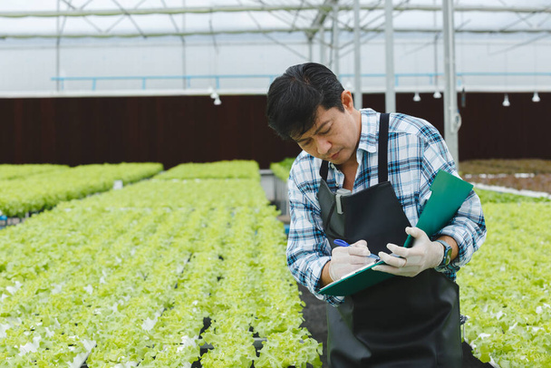 Los agricultores asiáticos jubilados que tienen trabajo de papeleo analizan la calidad de la investigación vegetal orgánica en el invernadero hidropónico. agricultura salud concepto. - Foto, imagen