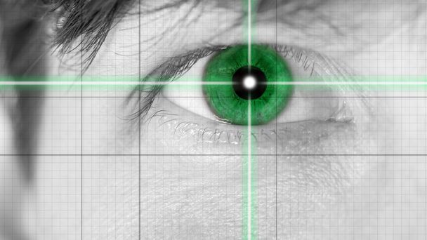 bliska zielone oko na linie siatki - Zdjęcie, obraz