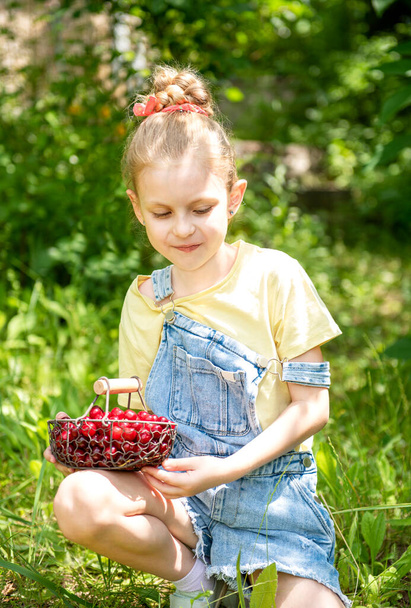 Cute little girl picks a cherry from a tree in cherry garden - Photo, image