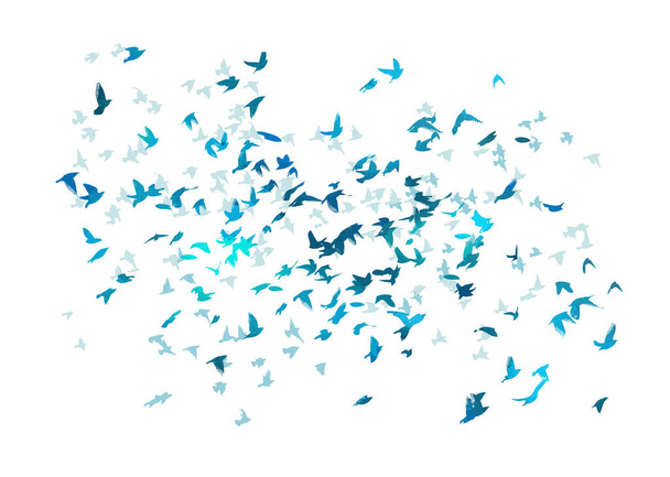 Стая летающих голубых птиц. Бесплатные птицы. Векторная иллюстрация - Вектор,изображение
