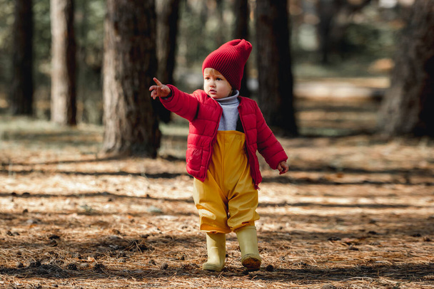 Little girl walking in the forest - Фото, изображение