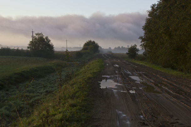 Russian field, Novgorod region ,Russia - Photo, Image