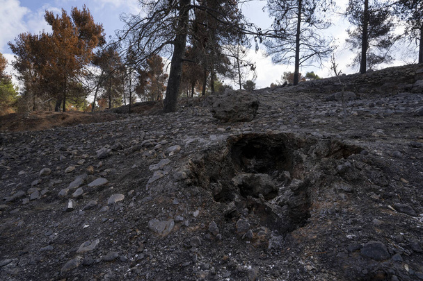 El vacío dejado en el lecho del bosque donde un árbol fue totalmente quemado hasta el suelo en un incendio forestal. - Foto, Imagen