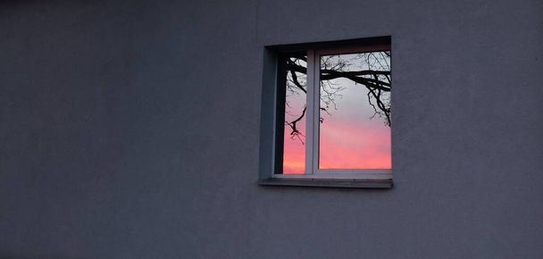 Drzewo gałęzie i świecące czerwone chmury, odbicia w szklance okiennej. Zimowy zachód słońca. Koncepcja krajobrazu. Budynek zewnętrzny, odległe miejsca, koncepcje ochrony środowiska. Obraz panoramiczny - Zdjęcie, obraz
