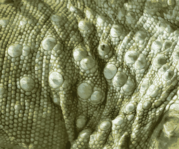 Fundo abstrato com textura de pele de corpo de iguana verde. Close-up. Vector. Ilustração. - Vetor, Imagem