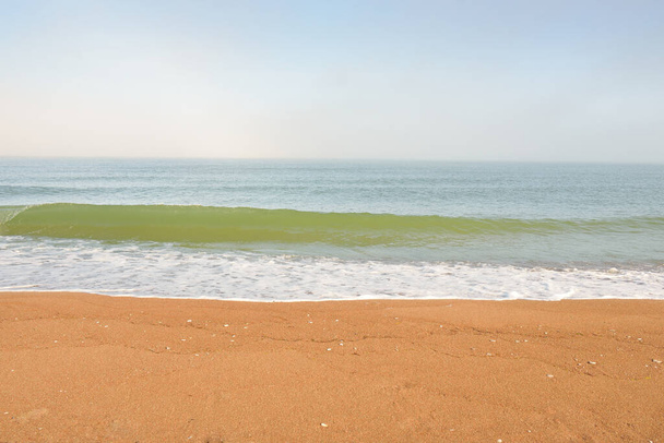 Панорамный вид на побережье Балтийского моря в тумане на восходе солнца. Пляж, песчаные дюны. Мягкий солнечный свет. Идиллический летний морской пейзаж. Природа, окружающая среда, отдых, экотуризм, прогулки и развлечения - Фото, изображение
