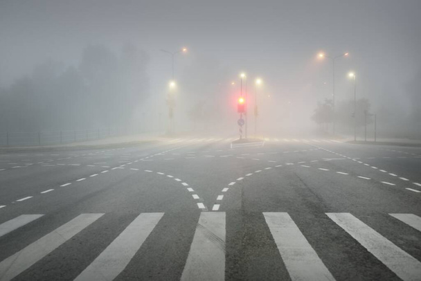 Ένας άδειος φωτισμένος ασφαλτοστρωμένος δρόμος (αυτοκινητόδρομος) σε πυκνή ομίχλη. Πεζόδρομος, διάβαση, φανάρια. Επικίνδυνη οδήγηση, περπάτημα, ποδηλασία, κανόνες κυκλοφορίας έννοιες - Φωτογραφία, εικόνα