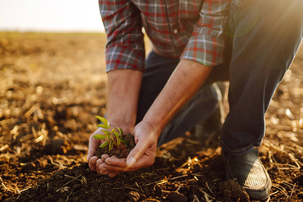 Expert hand of farmer checking soil health before growth a seed of vegetable or plant seedling. Agriculture, gardening, business or ecology concept. - Φωτογραφία, εικόνα