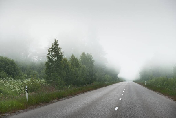 Eine leere Autobahn (Asphaltstraße) durch Felder und Wald im dichten Nebel bei Sonnenaufgang. Stimmungsvolle Landschaft. Idyllische ländliche Sommerlandschaft. Unsicheres Wetter, gefährliches Fahren, Straßenverkehr - Foto, Bild