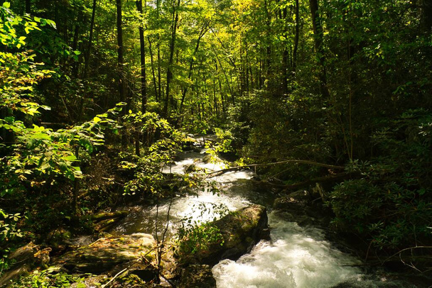 Una vista del arroyo de agua que fluye más allá de las rocas y el bosque colina abajo en el parque estatal Unicoi cerca de Helen en Georgia, EE.UU. - Foto, imagen