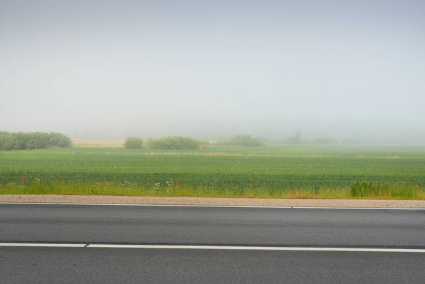 Eine leere Autobahn (Asphaltstraße) durch Felder und Wald im Nebel bei Sonnenaufgang. Stimmungsvolle Landschaft. Idyllische ländliche Sommerlandschaft. Unsicheres Wetter, gefährliches Fahren, Autoreise, Urlaubskonzepte - Foto, Bild