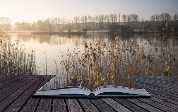 Concetto di libro Paesaggio del lago nella nebbia con bagliore di sole all'alba
 - Foto, immagini