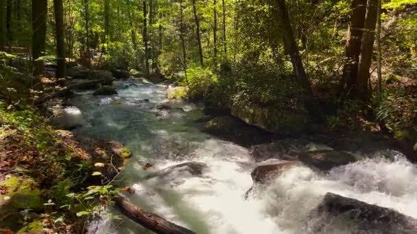 Descida da corrente de água nas cachoeiras Anna Ruby no parque estadual Unicoi, perto de Helen, Geórgia - Filmagem, Vídeo