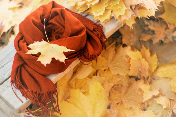 осень, опавшие кленовые листья на деревянной скамейке в парке, осенние прогулки - Фото, изображение