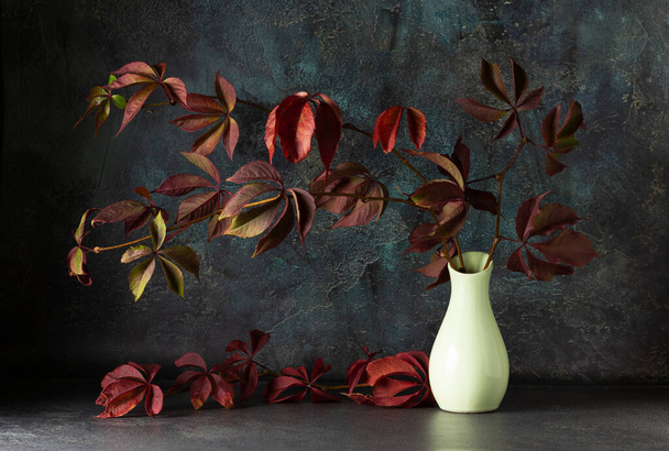 濃い背景の花瓶に明るい秋の葉を持つ野生のブドウのつる。創造的な静止生活の概念。スペースのコピー. - 写真・画像