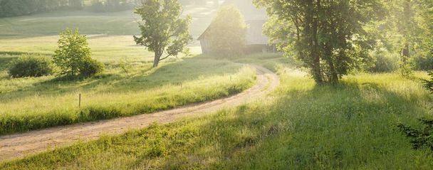 Autót vezetni a zöld mezőn és az erdőn át napkeltekor. Idilli vidéki élet, koncepció táj. Természet, távoli helyek, logisztika, nyári vakáció, kirándulás, ökoturizmus, szabadság - Fotó, kép