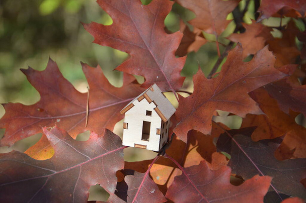 Modelo de una pequeña casa de madera en un bosque - Foto, Imagen