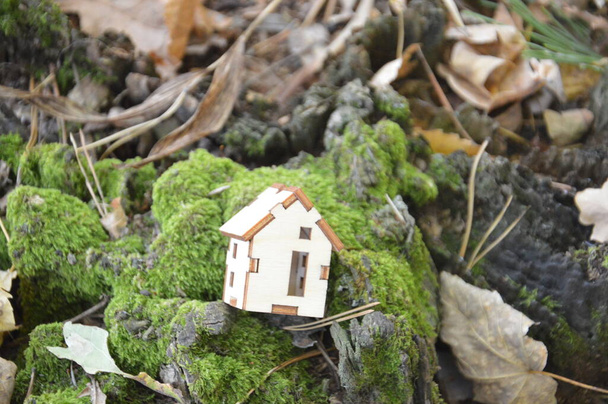 森の中の小さな木造家屋の模型 - 写真・画像