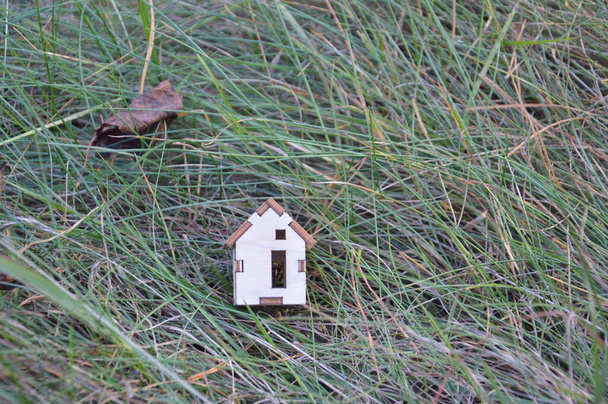 Model van een klein houten huisje in een bos - Foto, afbeelding