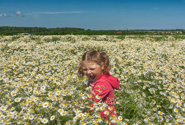 Dívka kráčející na velkém poli s kvetoucími polními sedmikráskami.  - Fotografie, Obrázek
