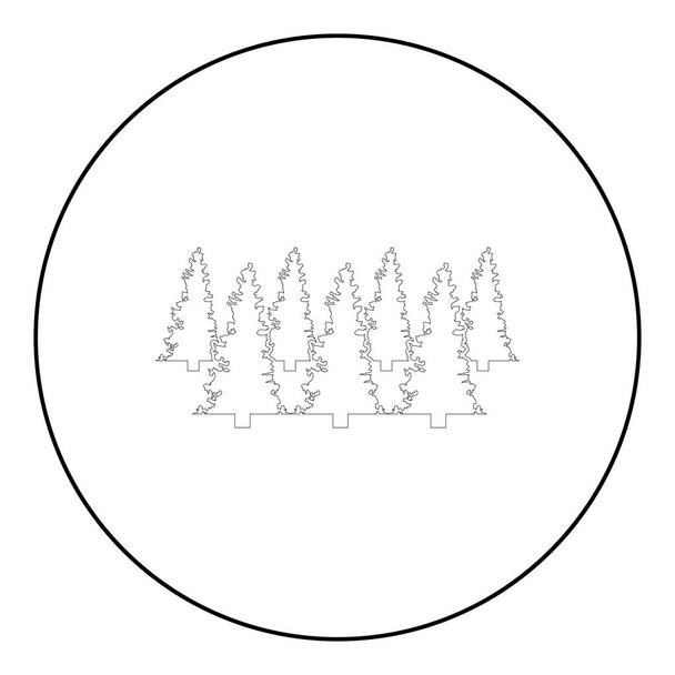 Ikona świerk lasu w okręgu okrągły czarny kolor wektor ilustracja solidny zarys styl prosty obraz - Wektor, obraz