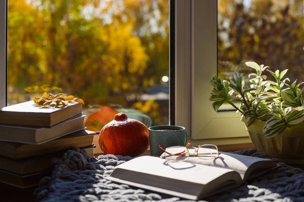 Ein gemütlicher Ort, um an einem Herbsttag sein Lieblingsbuch zu lesen. Ein aufgeschlagenes Buch, Tee, eine Hausblume, ein Kürbis, eine Wolldecke am Fenster mit Blick auf die Herbstbäume. Selektiver Fokus auf Tee - Foto, Bild