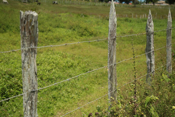 conde, bahia, brasil - 6 de octubre de 2021: cerca con estaca de madera y alambre de púas se ve en una propiedad rural en la ciudad de Conde, costa norte de Bahía. - Foto, imagen
