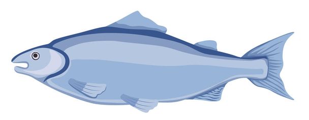 Makrela obecná, Scomber Saltwater Creature, Fish Species. Rybářský klub, Syrové mořské plody Restaurace nebo Rybářský trh Emblem - Vektor, obrázek