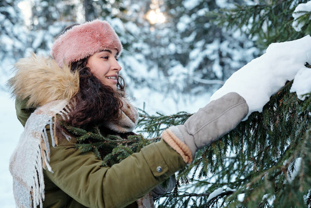 Młoda kobieta w zimie dotyka śniegu na gałęzi firtree - Zdjęcie, obraz