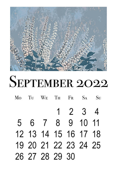 Calendar card for September 2022.Botanical formula - Photo, Image