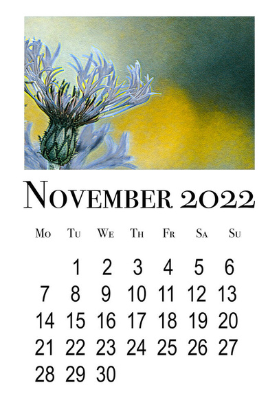 Kalenteri kortti marraskuu 2022.Kasvitieteellinen kaava - Valokuva, kuva
