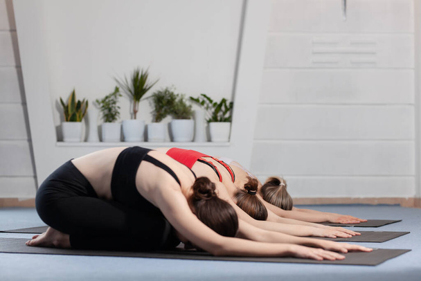 Three girls practicing yoga. Yoga instructor with her students meditating in a studio. - Фото, изображение