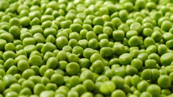 Fresh green peas rotating close up. - Footage, Video